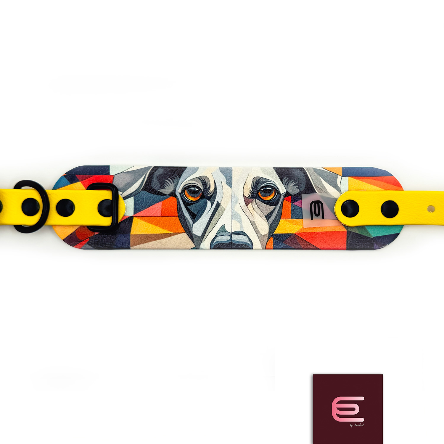 Obroża dla charcika włoskiego EYESH 299 BioThane® - EYESH -for dog walks- zdjęcie 1