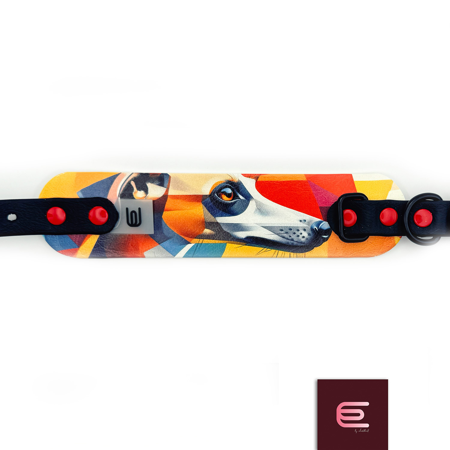 Obroża dla charcika włoskiego EYESH 304 BioThane® - EYESH -for dog walks- zdjęcie 1