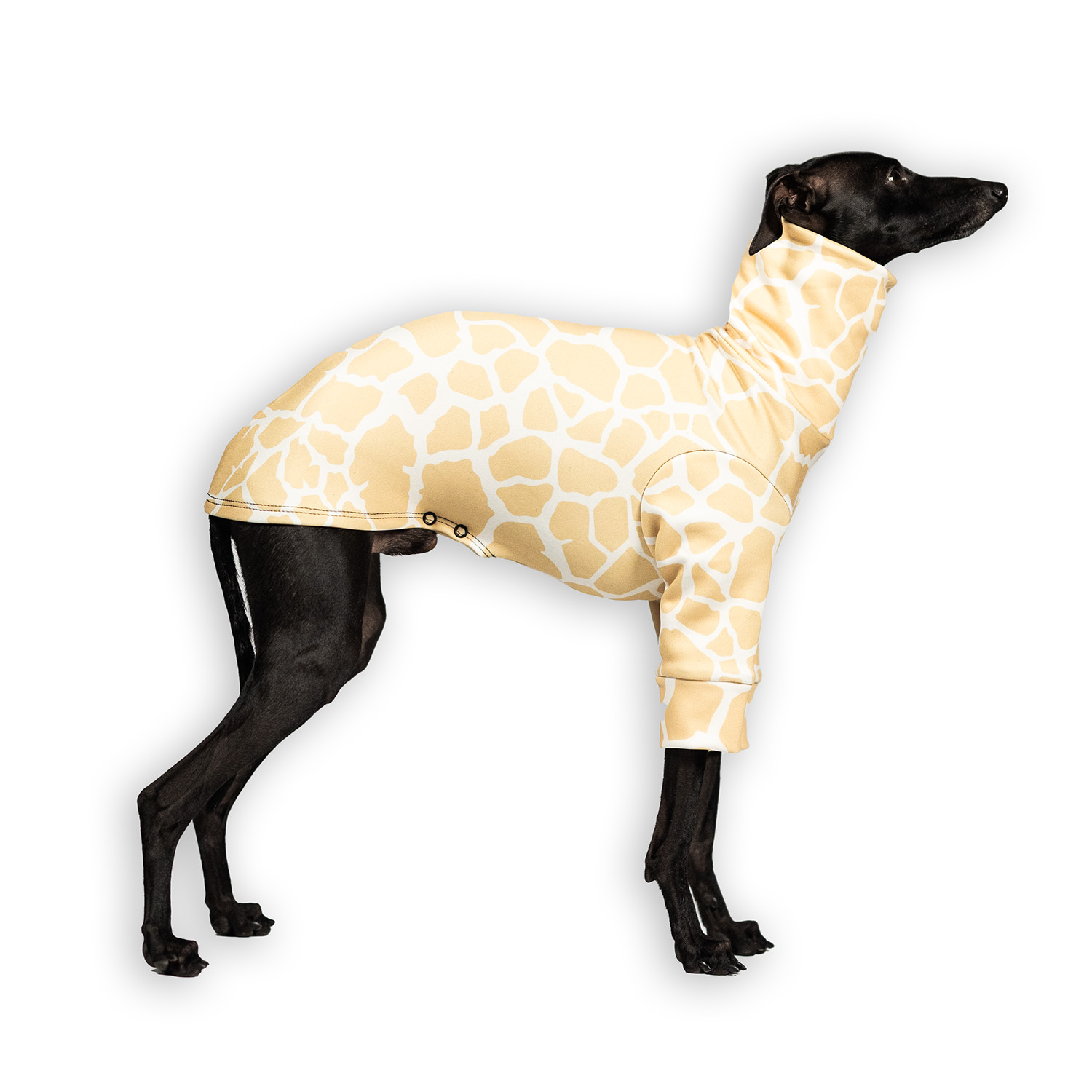 OUTLET Bluza dla charcika SAVANNAH Stretchmax® - Wear.Chartbeat zdjęcie 1