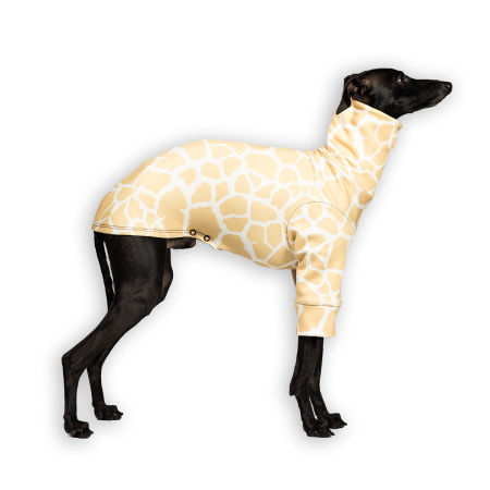 OUTLET Bluza dla charcika SAVANNAH Stretchmax® - Wear.Chartbeat zdjęcie 1