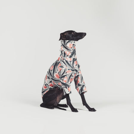 Bluza dla charcika TULIP NOIR Stretchmax® - Wear.Chartbeat zdjęcie 2