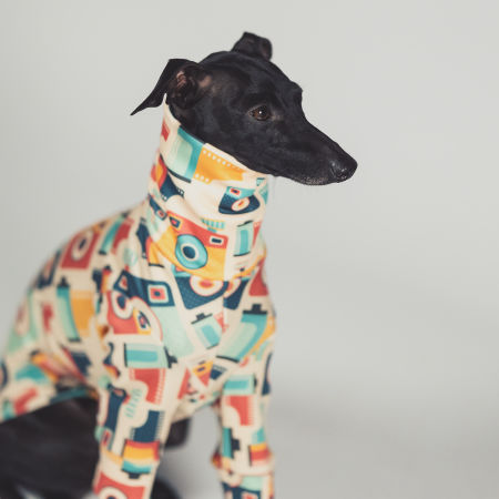 Bluza dla charcika LOMO Stretchmax® - Wear.Chartbeat zdjęcie 3