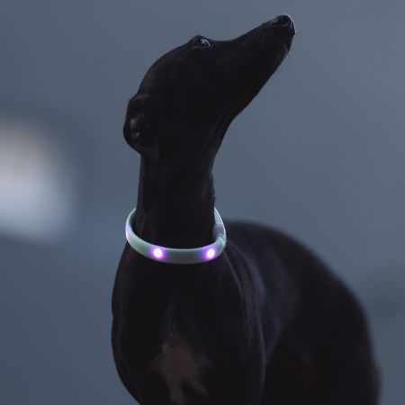 Świecąca, silikonowa obroża dla psa LED zdjęcie 4