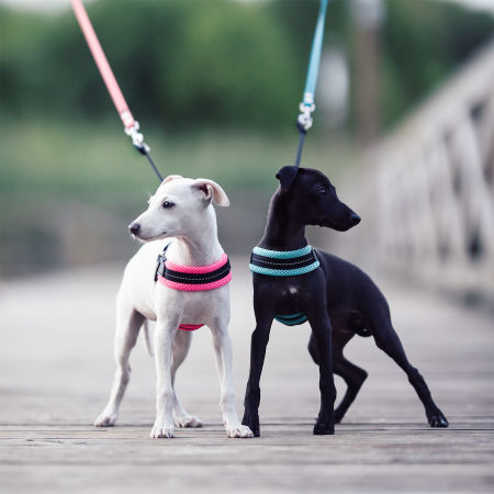 Szelki dla szczeniąt TRE PONTI MESH - Tre Ponti zdjęcie 2