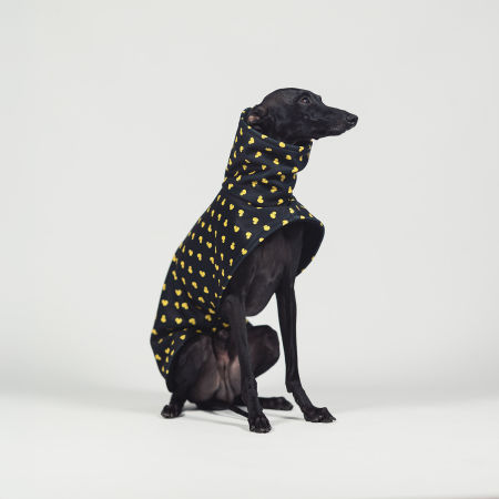 Kurtka dla charcika DUCK OFF Softshell® - Wear.Chartbeat zdjęcie 2