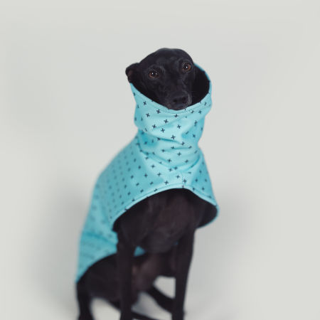 Kurtka dla charcika BLUE POSITIVE Softshell® - Wear.Chartbeat zdjęcie 2