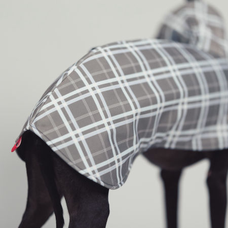 Kurtka dla charcika FOG CHECK Softshell® - Wear.Chartbeat zdjęcie 3