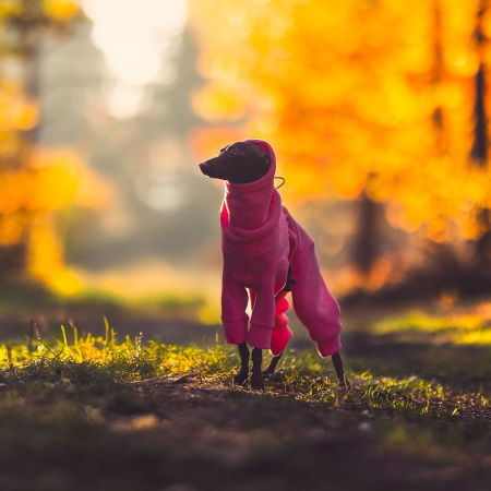 Kombinezon dla charcika NEON PINK - Wear.Chartbeat zdjęcie 2