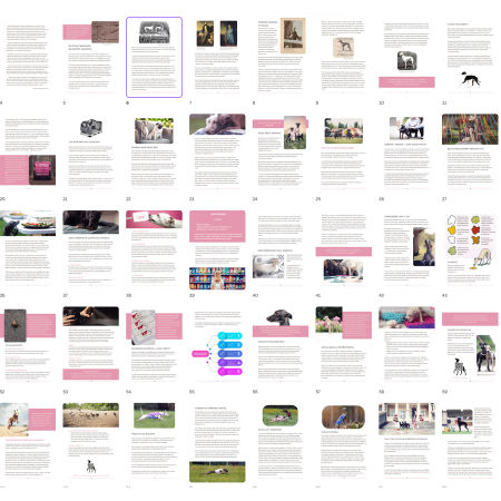 Książka "Podręcznik przetrwania z charcikiem" zdjęcie 3